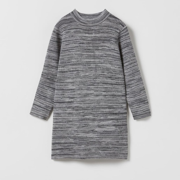 Zara Other - Zara Ribbed Knit Space Dye Dress